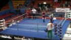 Boxing referee king hit by Croatian fighter