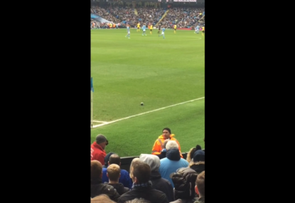 Manchester City fans chant at a pigeon