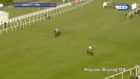 Horse runs off course with victory in sight