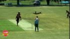 The best amateur cricket catch compilation on the internet