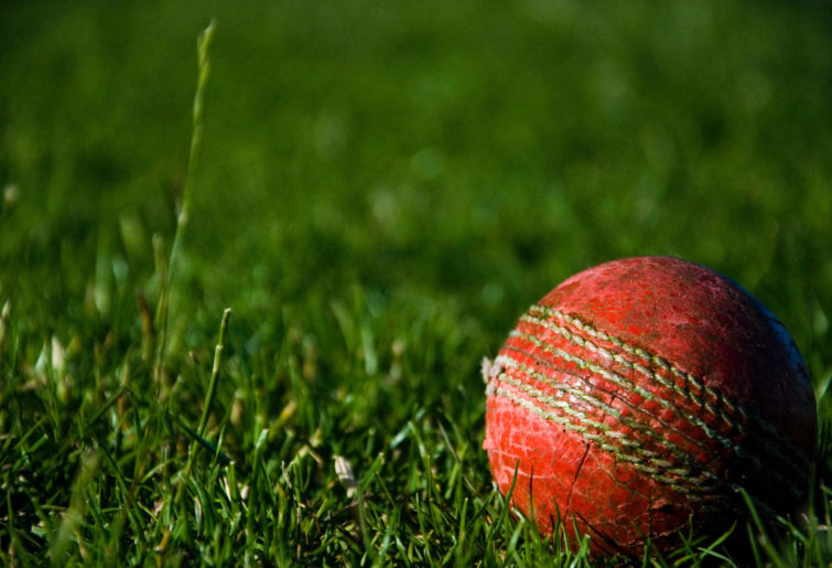 Generic cricket ball image.