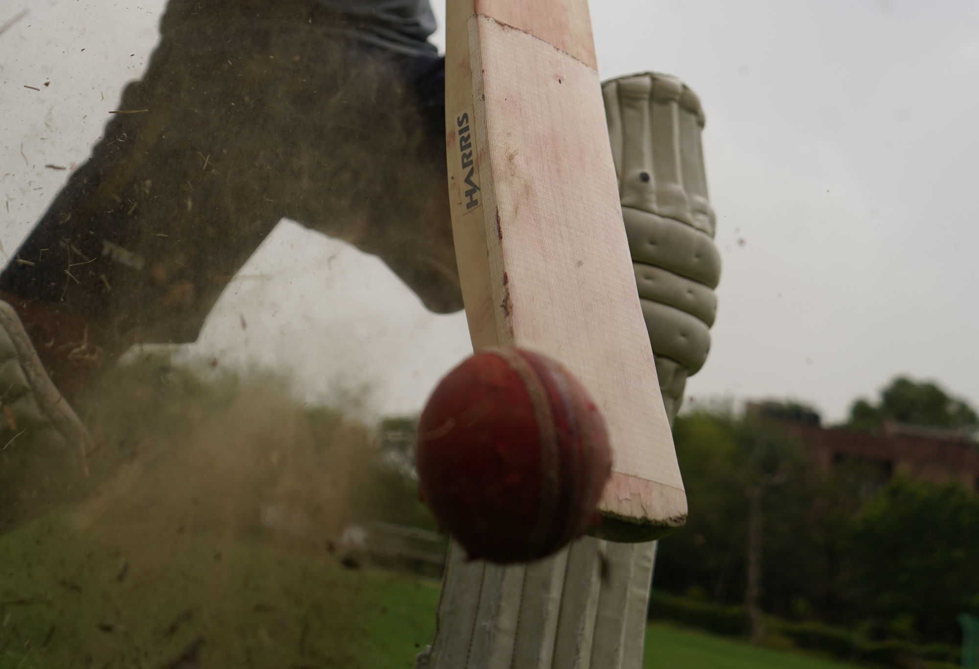 A cricket ball coming off a bat