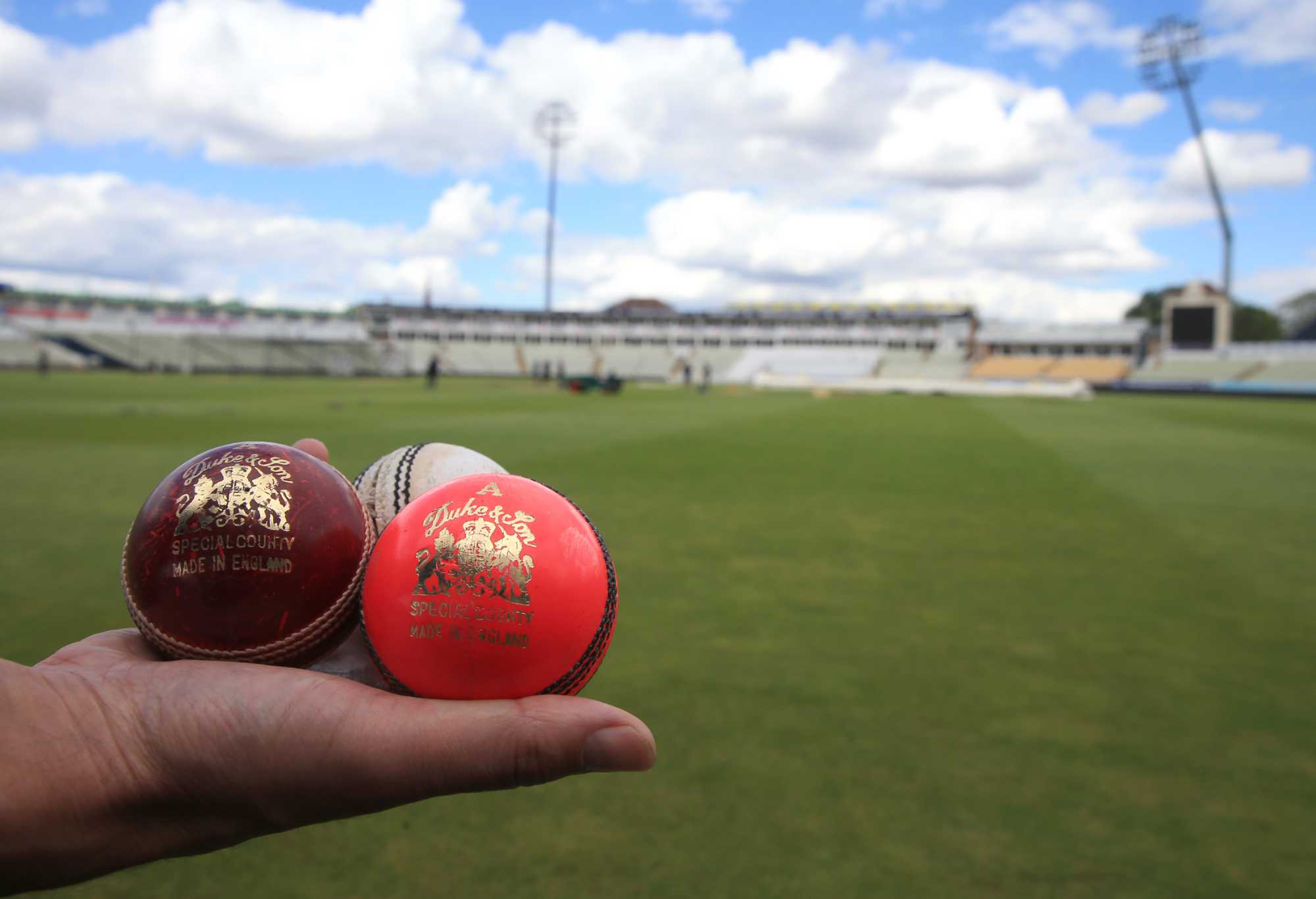 Generic cricket balls: pink, white and red,