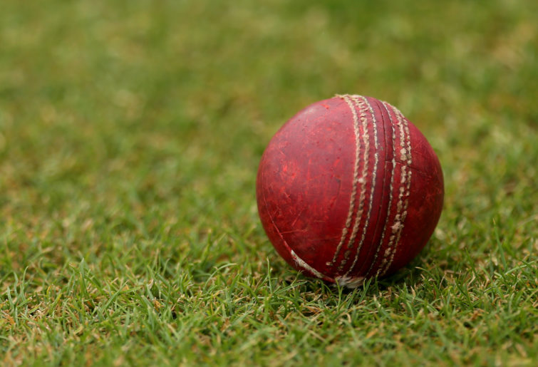 Generic cricket ball