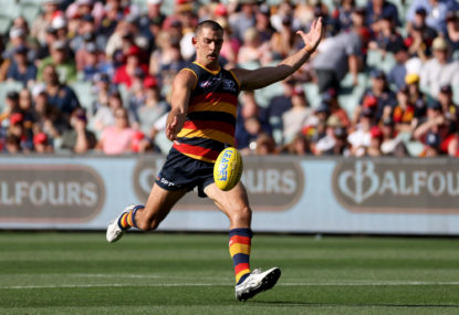 The Adelaide Crows finished 2023 at the crossroads - which direction will they take next?