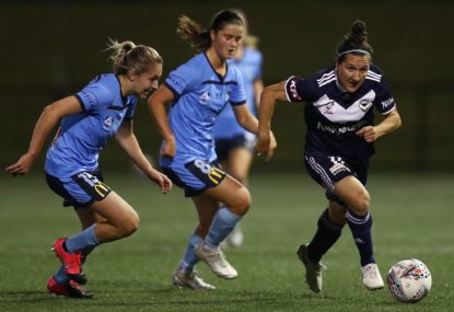 Would the W-League work in winter?