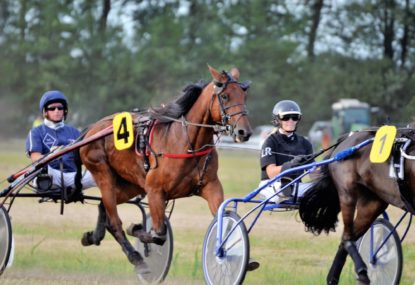 Harness racing selections: Friday, March 25