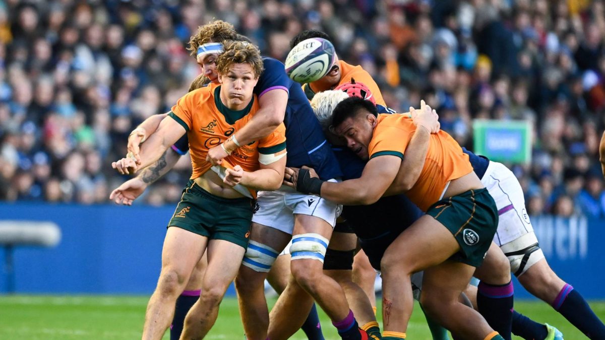 Why Michael Hooper should have been World Rugbys player of the year