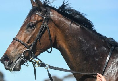Melbourne Cup horse taken to vet hospital after race incident