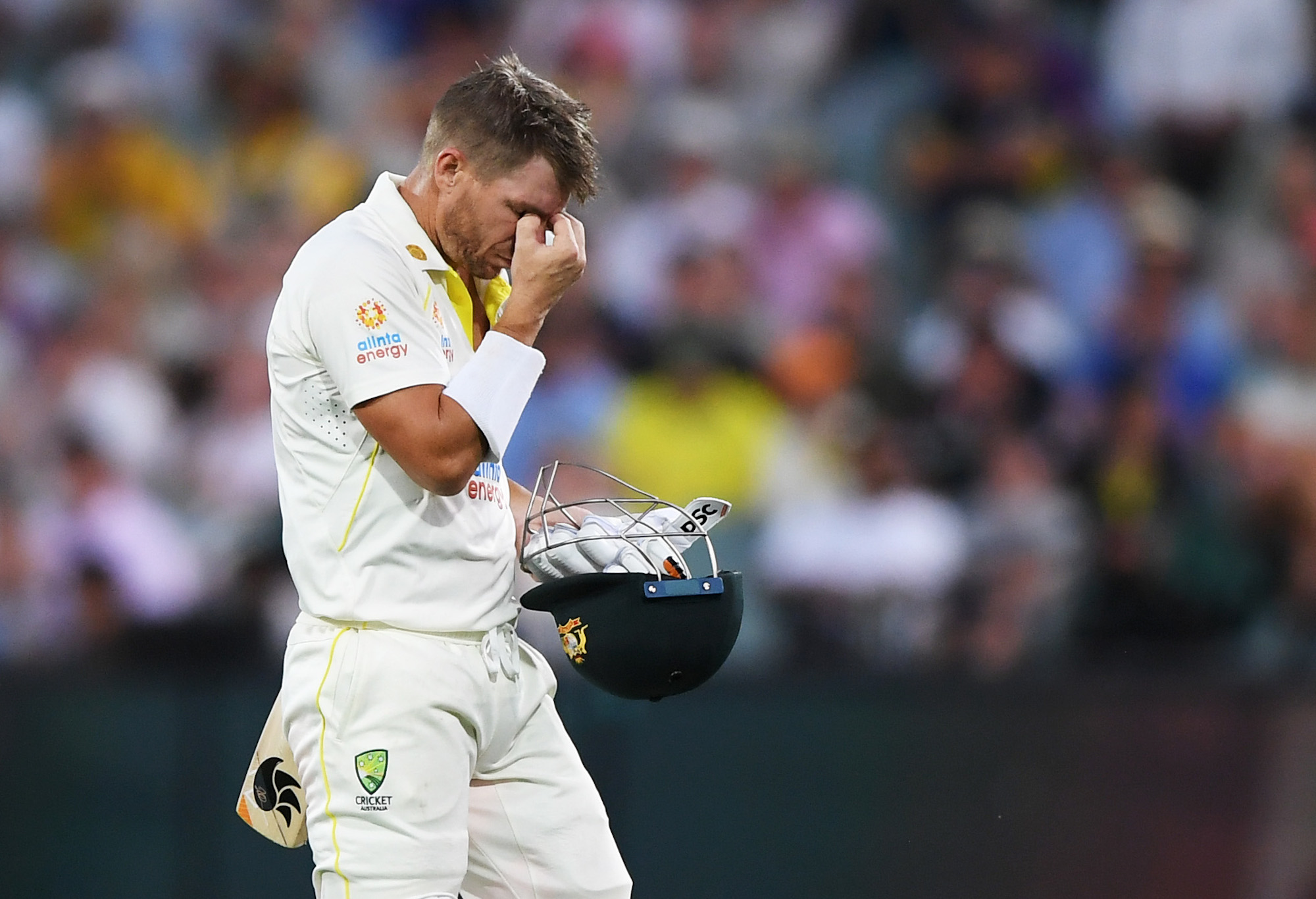 David Warner is out.