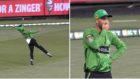 'Stop it!' Glenn Maxwell stuns even himself with the most outrageous catch