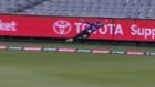 Wil Parker denied one of the all-time great outfield catches in the cruellest way
