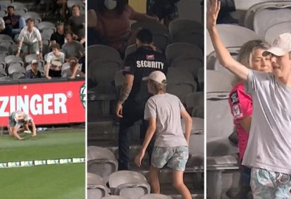 BBL legend's heroic crowd catch failure delights absolutely everyone... except security