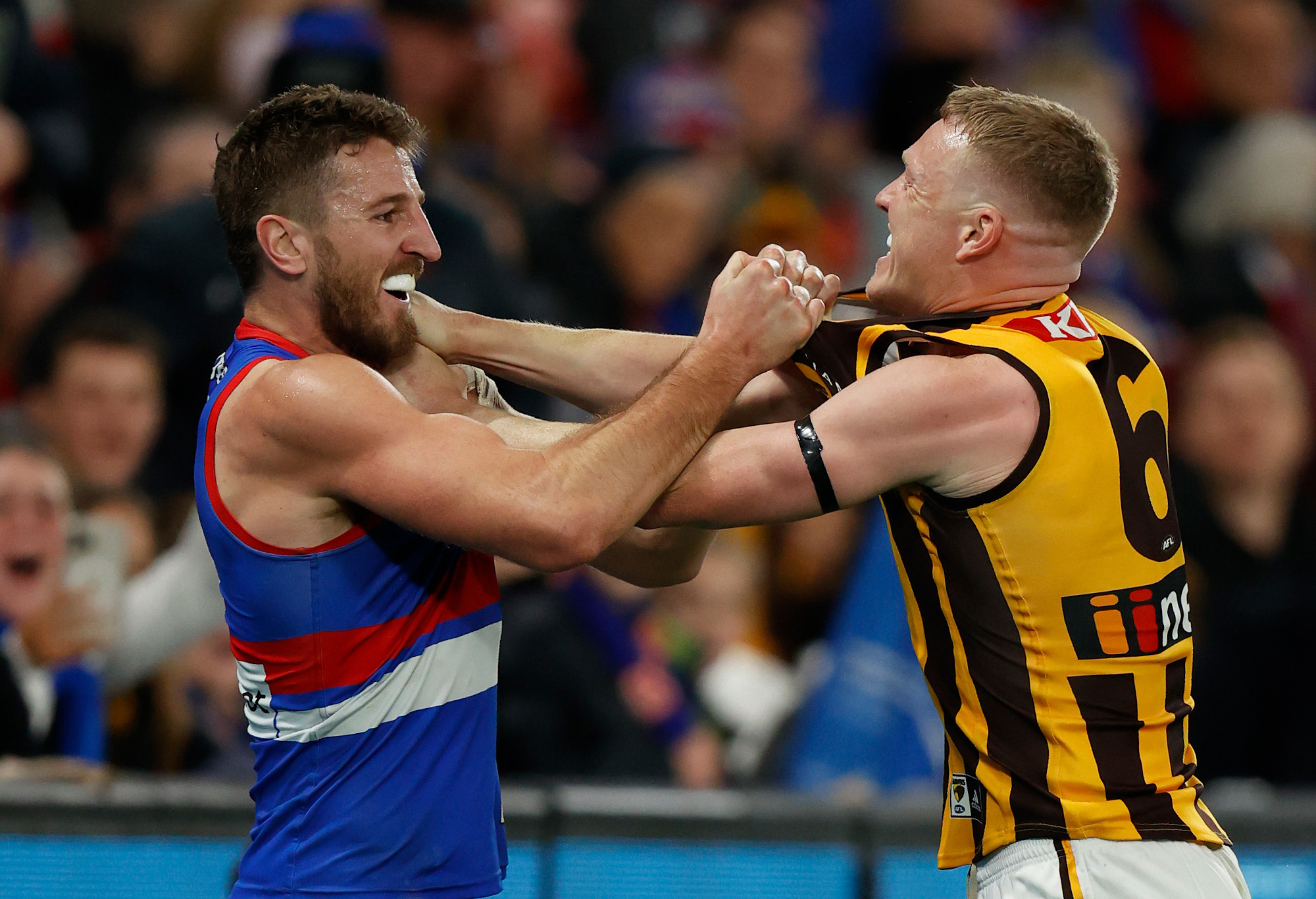 AFL Round 12 Expert Tips & Betting Odds