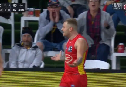 WATCH: Brandon Ellis can't believe it after heartless boundary ump costs him GOTY contender