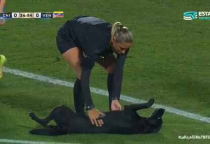 WATCH: Dog interupts international football game... and all it wanted was pats