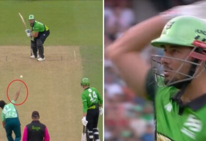 WATCH: Marcus Stoinis appears to accuse Pakistan quick of chucking after being dismissed