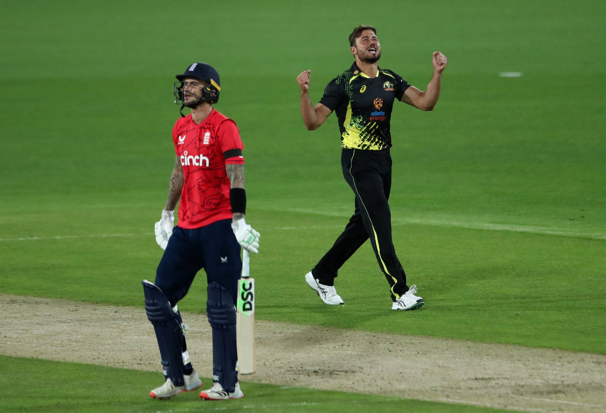 Marcus Stoinis of Australia celebrates taking the wicket of Alex Hales of England during game two of the T20 International series between Australia and England at Manuka Oval on October 12, 2022 in Canberra, Australia. (Photo by Jason McCawley - CA/Cricket Australia via Getty Images)