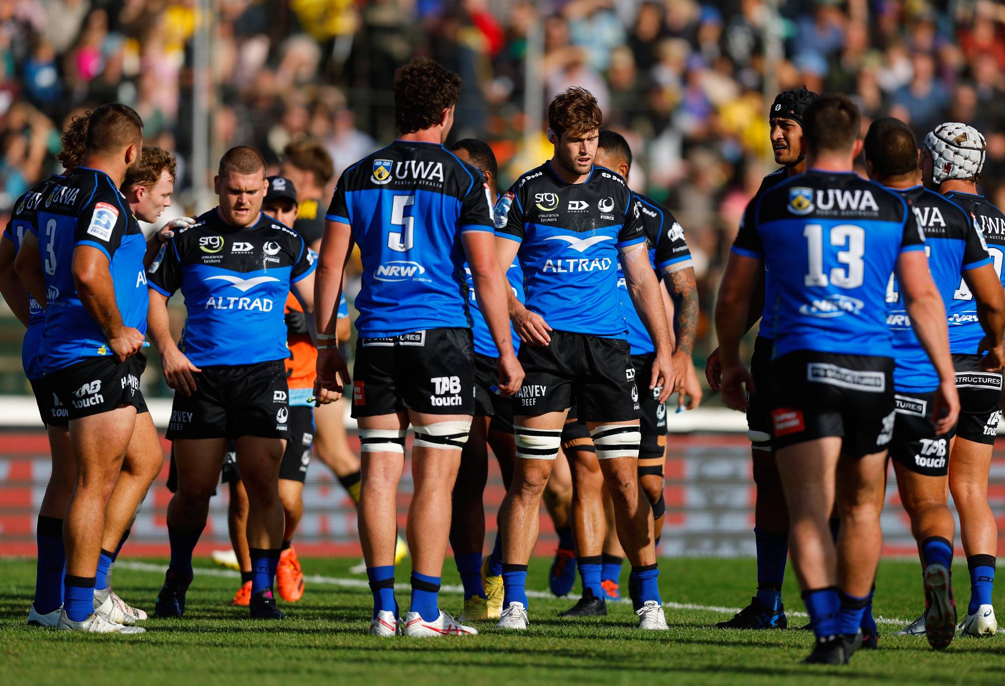 A disappointed Western Force