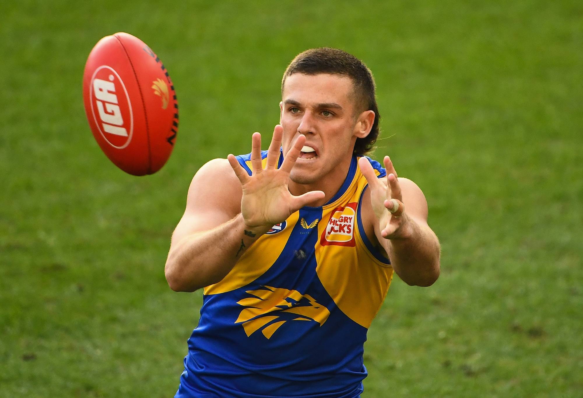PERTH, AUSTRALIA - JUNE 27: Jake Waterman of the Eagles marks the ball during the 2021 AFL Round 15 match between the West Coast Eagles and the Western Bulldogs at Optus Stadium on June 27, 2021 in Perth, Australia. (Photo by Daniel Carson/AFL Photos via Getty Images)