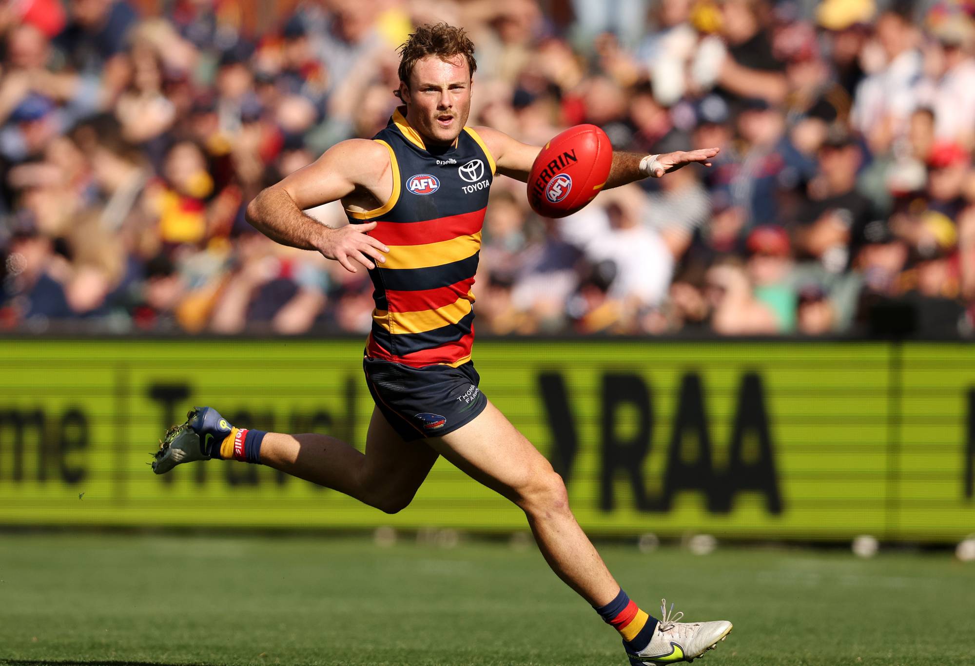  Luke Pedlar of the Crows during the 2023 AFL Round 09 match between the Adelaide Crows and the St Kilda Saints at Adelaide Oval on May 14, 2023 in Adelaide, Australia. (Photo by Sarah Reed/AFL Photos via Getty Images)