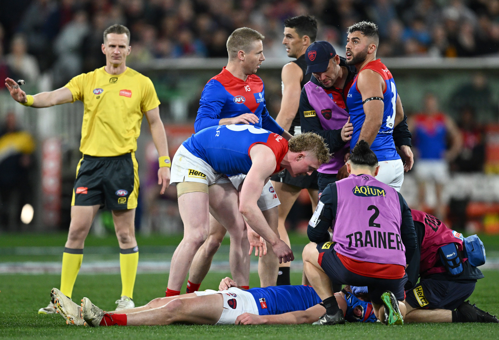 Angus Brayshaw was knocked unconscious in a collision with Brayden Maynard.