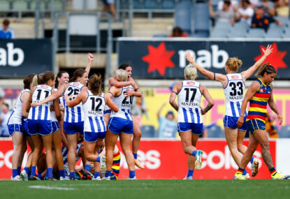 North Melbourne hold off late Crows surge to win preliminary final by one point to reach first AFLW GF