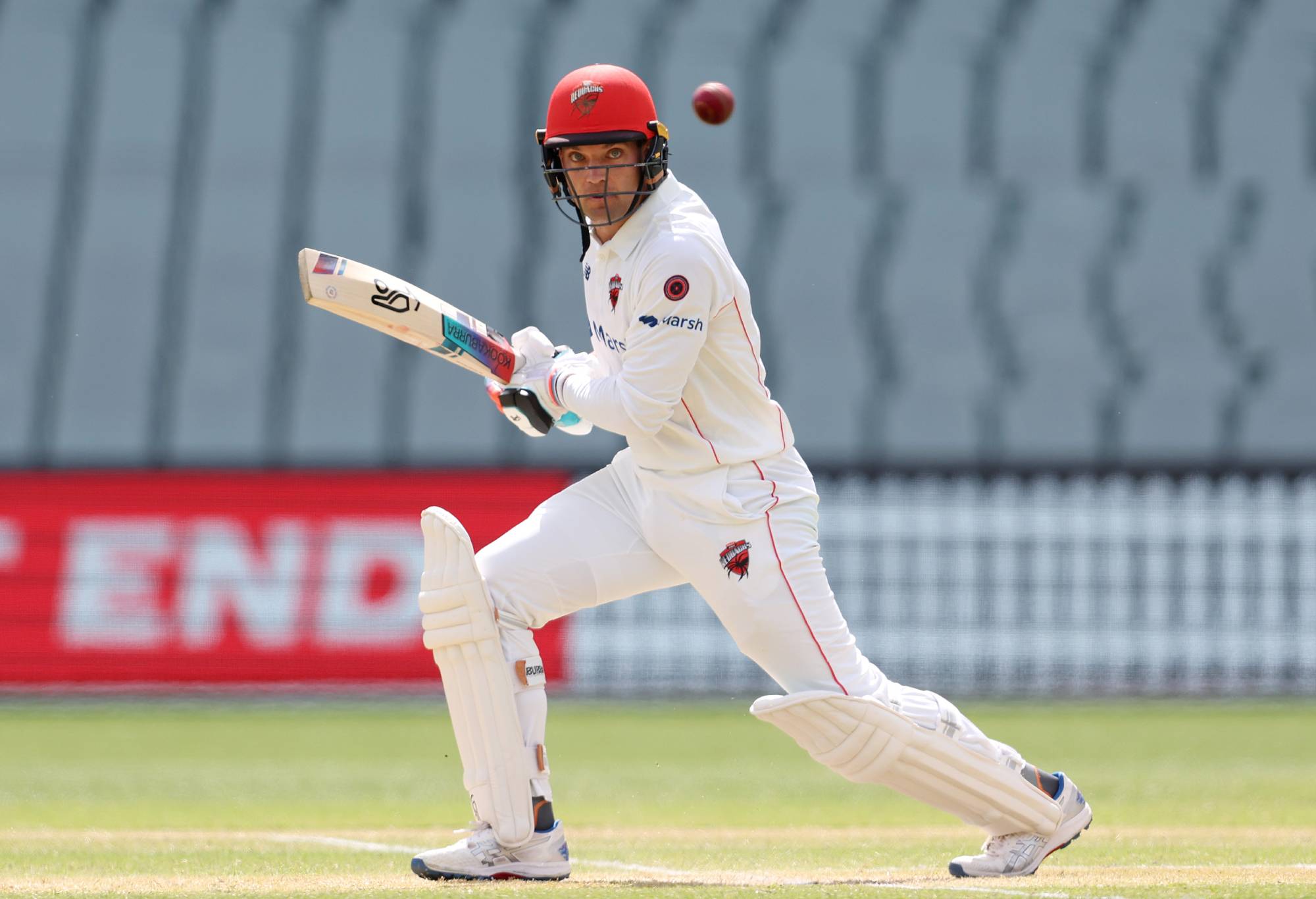 Alex Carey of the Redbacks during the Sheffield Shield match between South Australia and Victoria at Adelaide Oval, on December 01, 2023, in Adelaide, Australia. (Photo by Sarah Reed/Getty Images)
