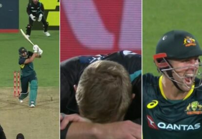 David's day! NZ heartbroken, Marsh's blushes spared after bizarre blooper by finisher's finest hour