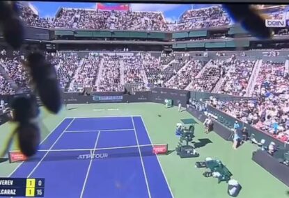 You can't bee serious! Indian Wells glamour match held up by unbeeliveable insect invasion as star stung