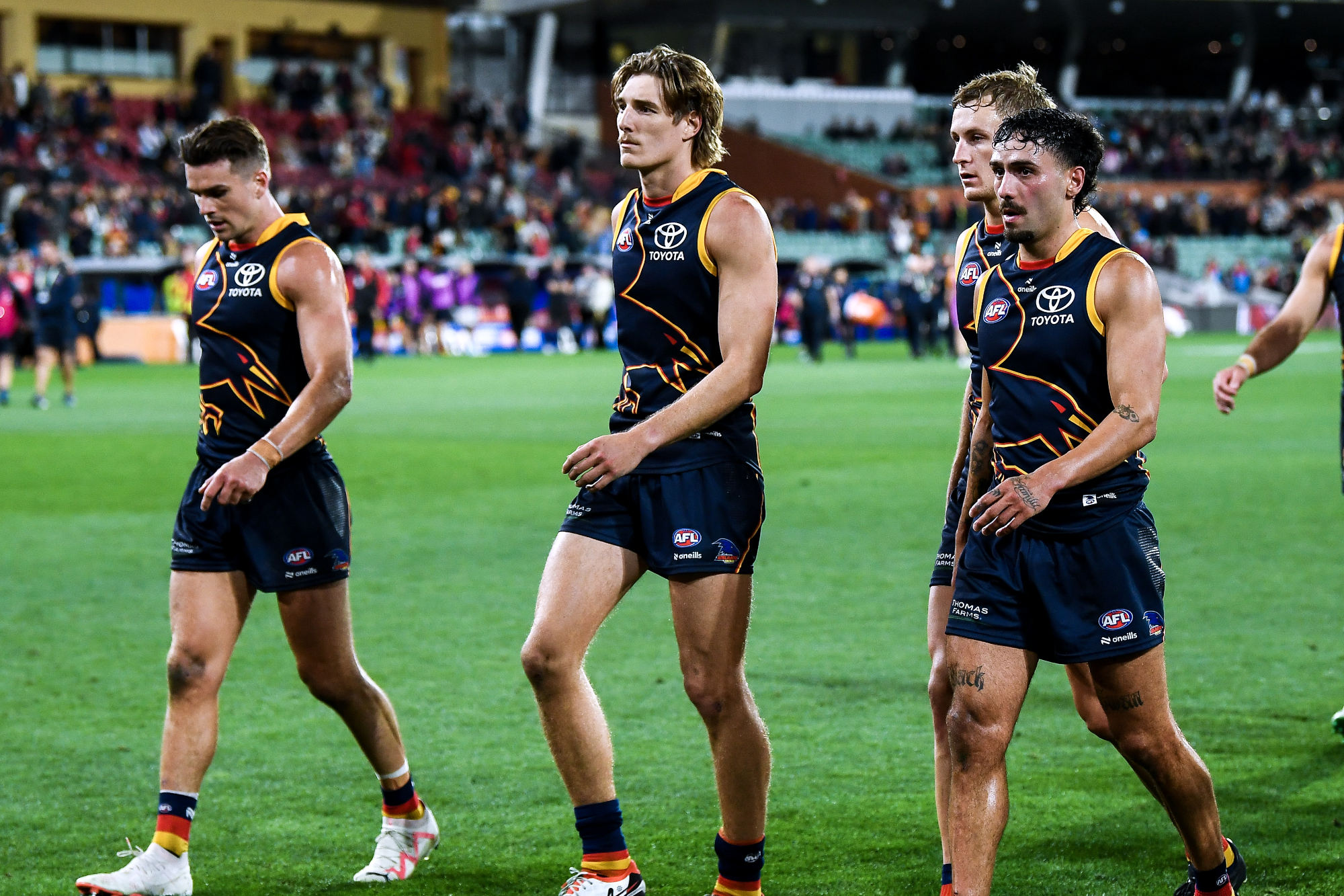 Adelaide Crows after Melbourne loss