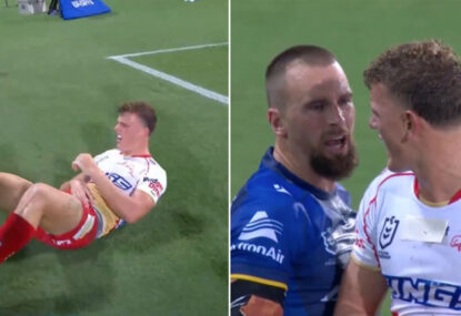 'Get up!' Gutho jaws at Dolphin who didn't take kindly to his attempted try-saver