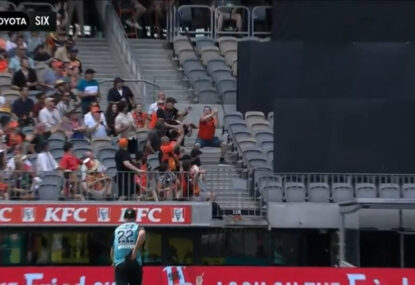 'Nice technique': Scorchers fan takes crowd catch while simultaneously performing perfect squat
